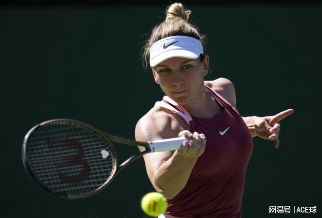 他们在本阶 他们在本阶