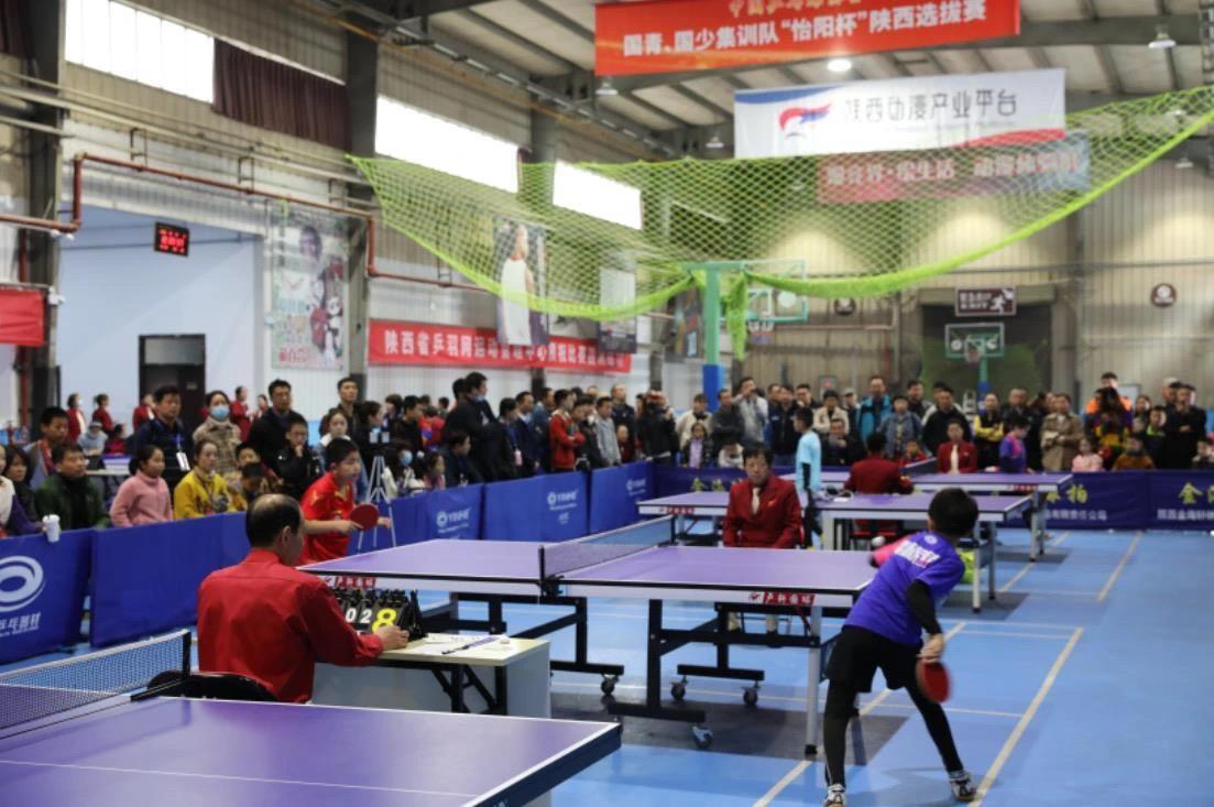 也成为了国 也成为了国