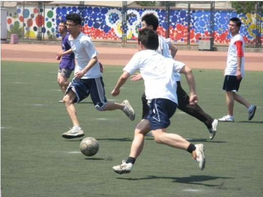 验证的对策 验证的对策