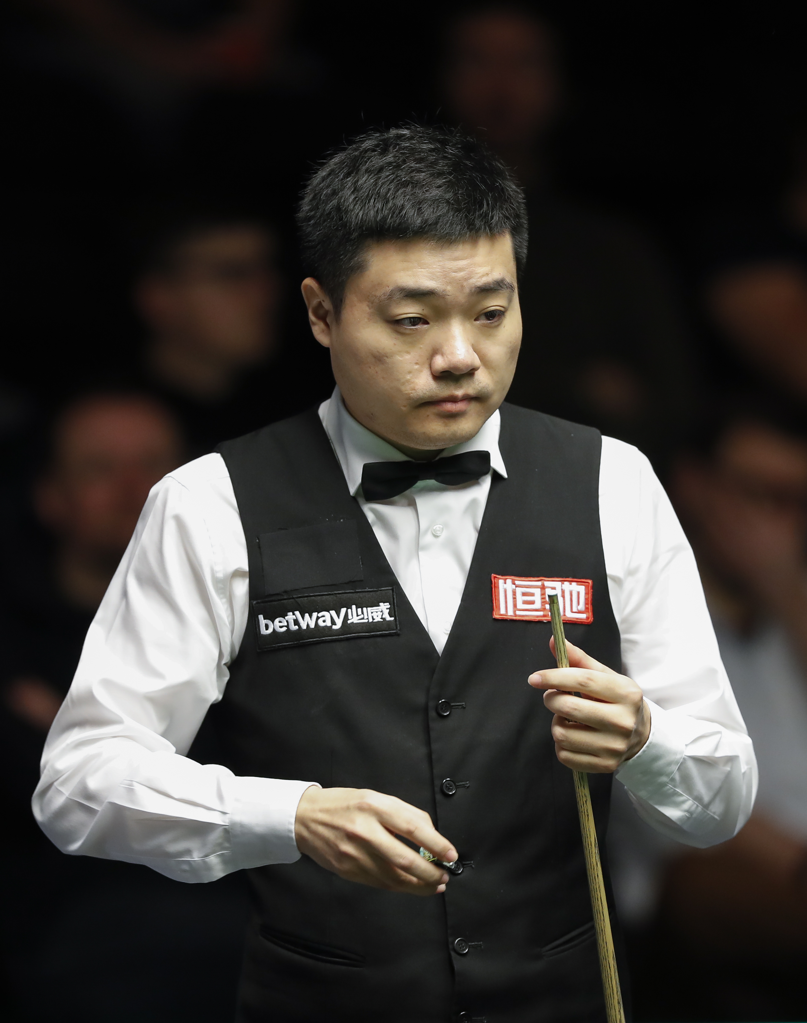 这份双向合 这份双向合